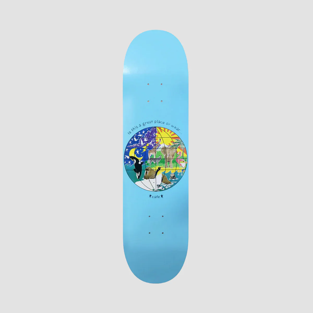 Sale Skateboard